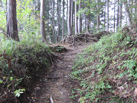 20191031hike (276)
